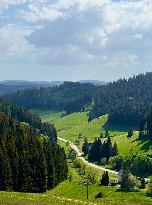 Das Baumhafen-Grundstück im Spessart